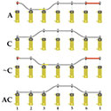 HBM014 article  thumbnail image