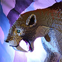 HBM020 articulo thumbnail image