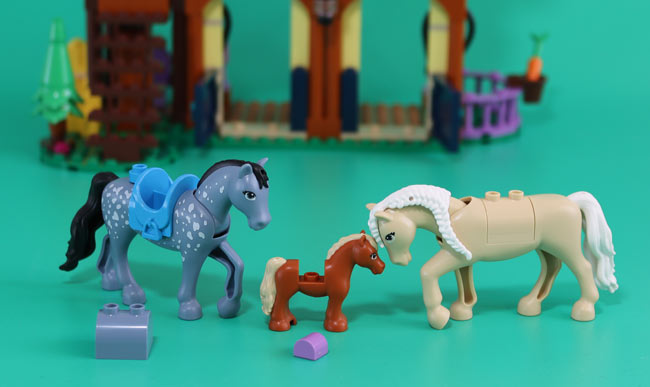 horses