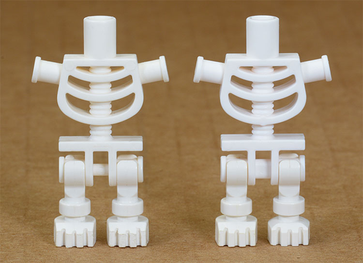skeleton torsos