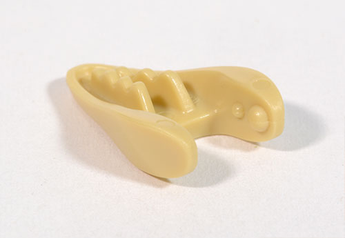 atrociraptor jaw image