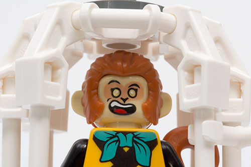 monkey king in the cage with his feet seated on the floor studs