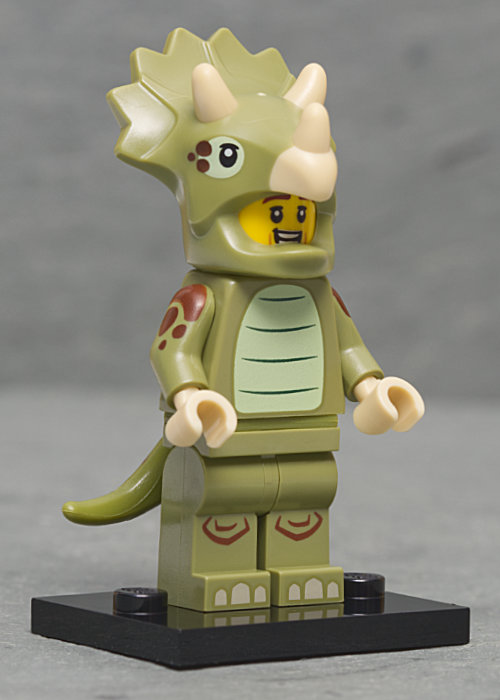 Triceratops Costume Fan set