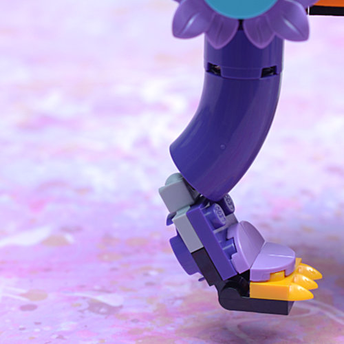 back paw positioned front