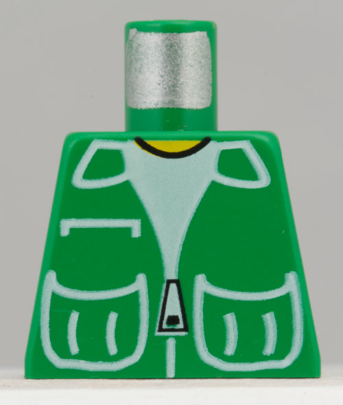 torso