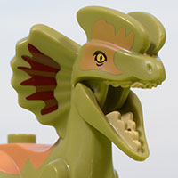 thumbnail image for Set Review ➟ LEGO<sup>®</sup> 76951 Pyroraptor and Dilophosaurus Transport